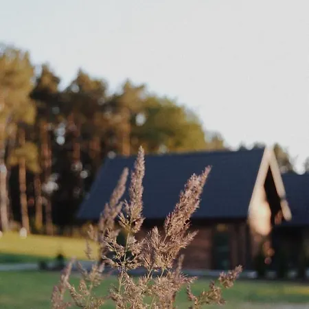 Sosnowe Domki Warpuny Exteriér fotografie
