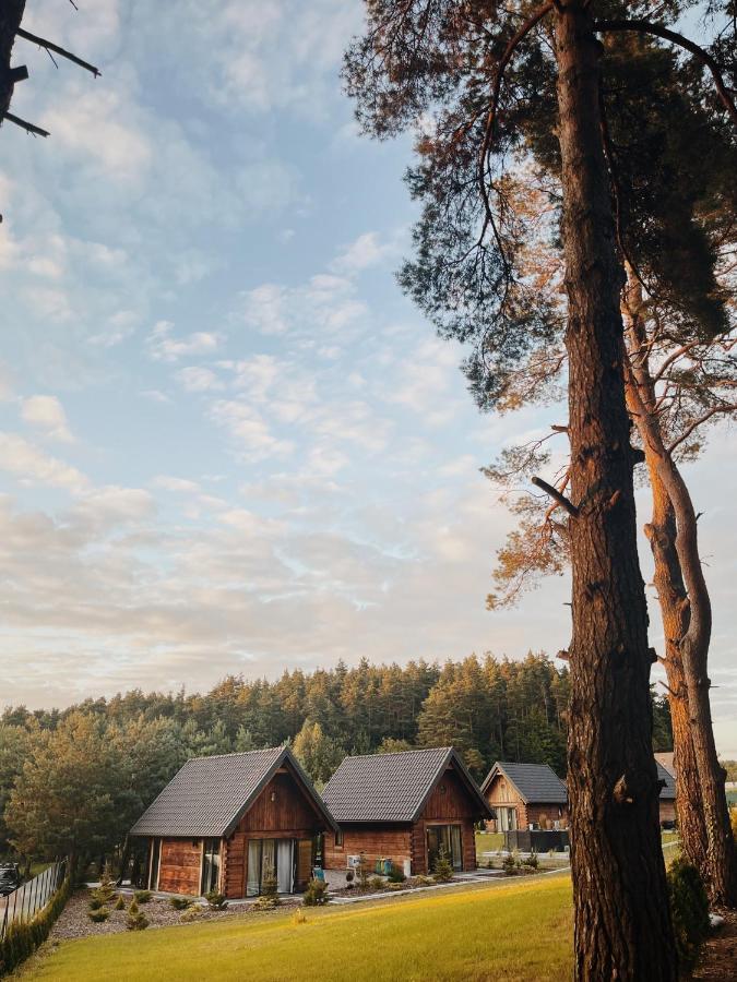 Sosnowe Holiday home